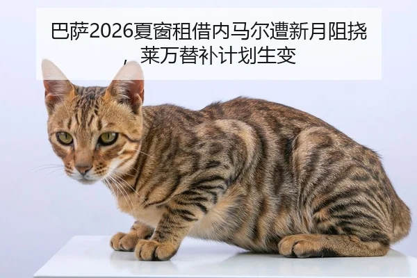 ba-sa-xia-chuang-zu-jie-nei-ma-er-zao-xin-yue-zu-nao-lai-wan-ti-bu-ji-hua-sheng-bian-2-919.jpg